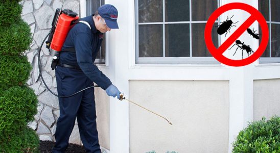Ardeşen Dezenfeksiyon böcek ilaçlama ve haşere kontrolü — ilaclama-tr.com